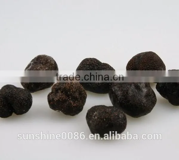 Frozen-dried Black Truffle Mushroom From Yunnnan photo-3