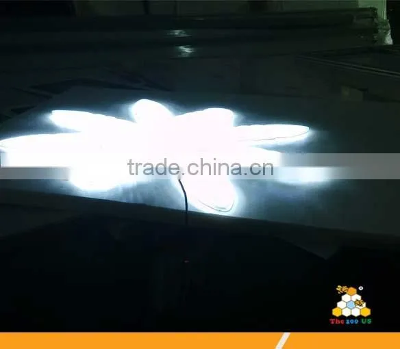 Promotional Green Color High Brightness Lgp Display Led Panel photo-3