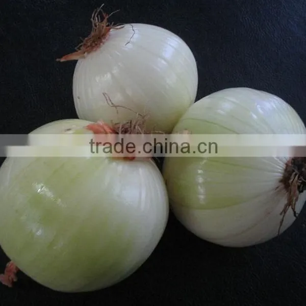 Electric Fresh Onion Skin Peeling Machine|Commercial Onion Peel Removing Machine photo-4