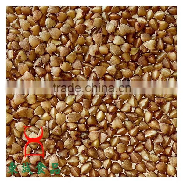 Organic Roasted Buckwheat Cereal Wholesale