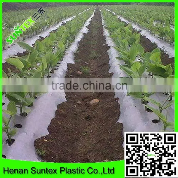 PE Plastic Black-Silver Plastic Mulch Film Punch Hole /agricultural Mulch Film/biodegradable Mulch Film photo-4
