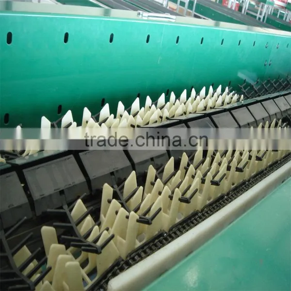 lemon sorting machine