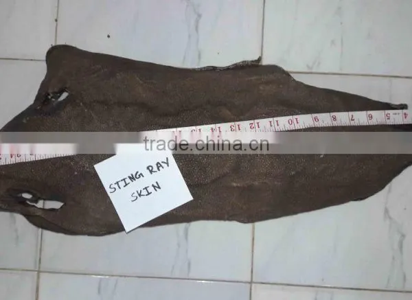 Dry Stingray Fish Skin