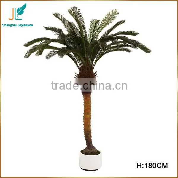 Customized Evergreen Artificial Cycas Revoluta Tree for Sale in Stock photo-3