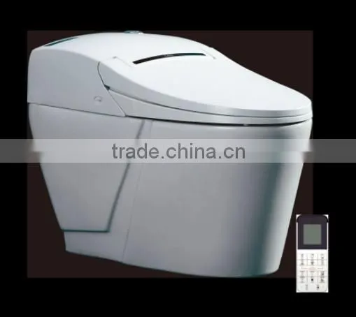 Digital Toilet