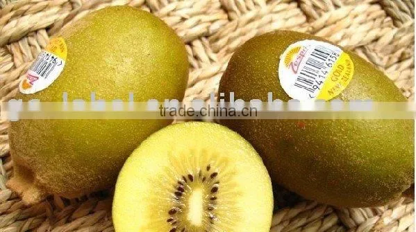 Health Sticker Printing Waterproof Sticker