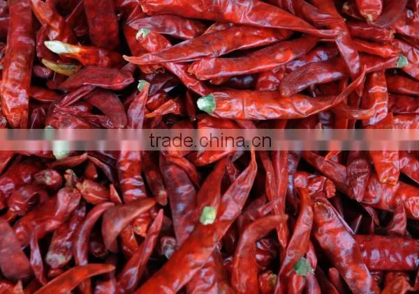 Red Chilli