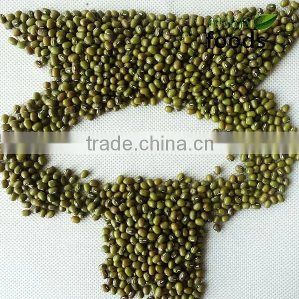 Green Beans for Wholesale Dried Beans