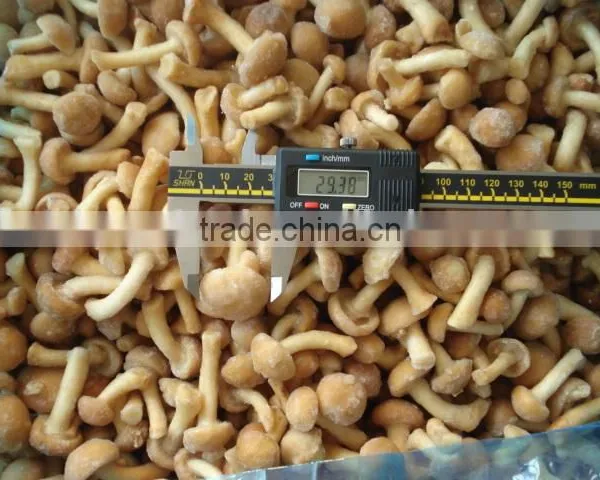 IQF Nameko photo-2