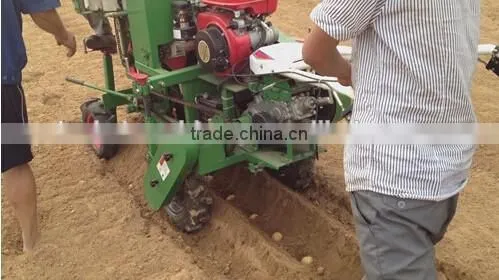 High Performance 2Cm Series Potato Planter/potato Seeder/Potato Plant Growth Regulator photo-4
