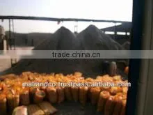 Cotton Seed Hull