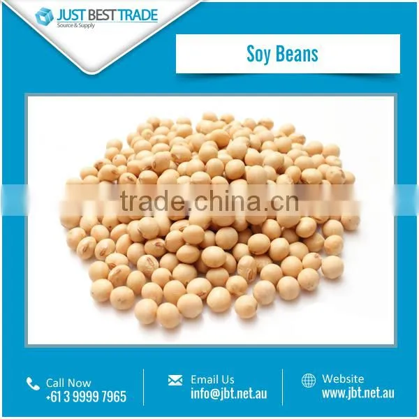 Wholesale Suplier of High Protein Yellow Soy Beans