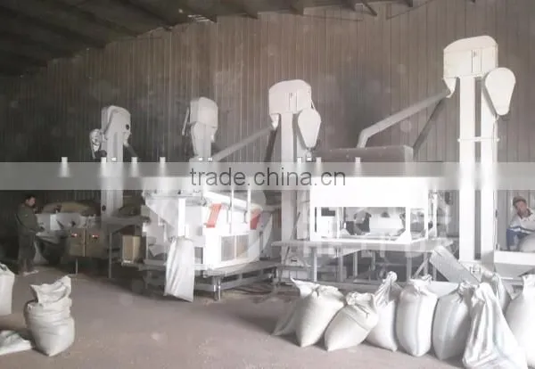 Competetive Price HLD-5 Hot Sale Seeds Product Line photo-2