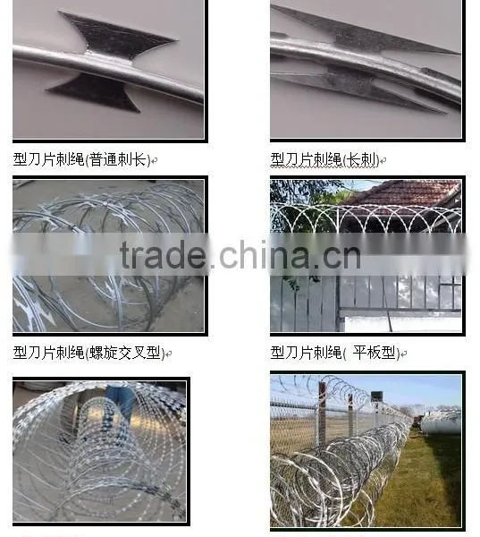Concertina Razor Wire / Galvanized Concertina Razor Wire / Hight Security Razor Wire Fencing photo-6