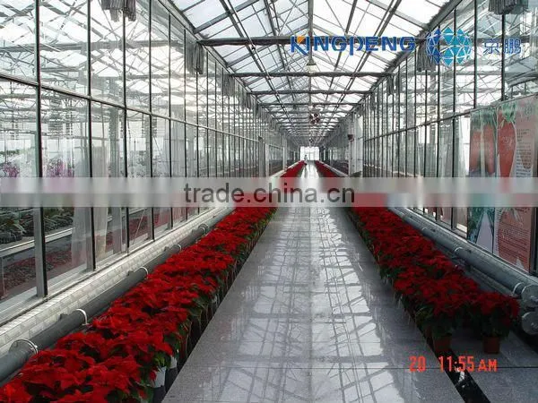 Venlo Roof Agricultural Polycarbonate Sheet Greenhouse photo-6
