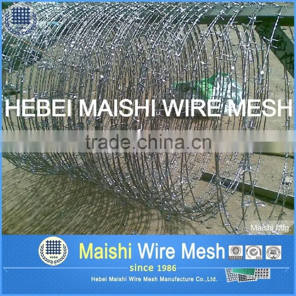 Galvanized Barbed Wire for Security Fence ( Factory, Low Price ) photo-2