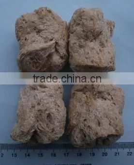 Direct Factory Price Hotsell Nutritional Soya Food Extruder photo-4