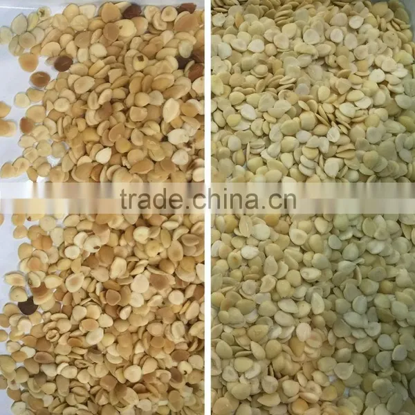 Automatic Ccd Color Sorter for Cashew Nut/apricot Kernels/walnut photo-3