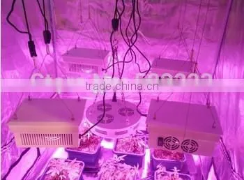Hot Sell Cob Led Grow Bulbs150 w Indoor Grow Light Bulbs photo-4
