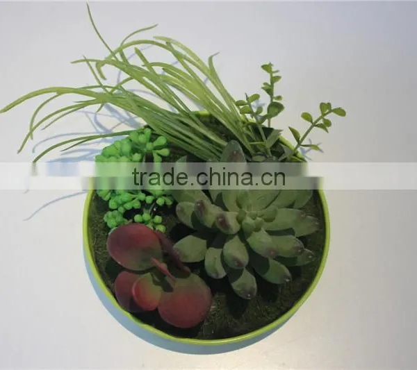 Brand Name Plastic Small Multicapacity Process Artificial Round Plate Bonsai Decor photo-3