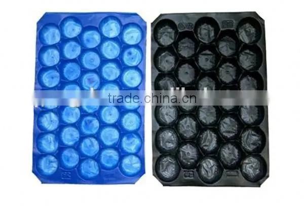 Factory Directly Eco-friendly Colorful PP Plastic Thermal Food Container photo-4