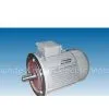 Ⅱ.Y2 Series（IP54）3-phase Asynchronous Motor