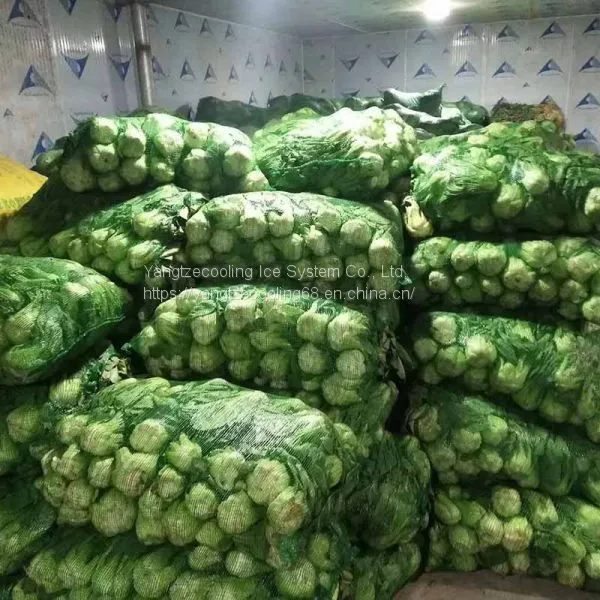 Vegetable Cold Room photo-4