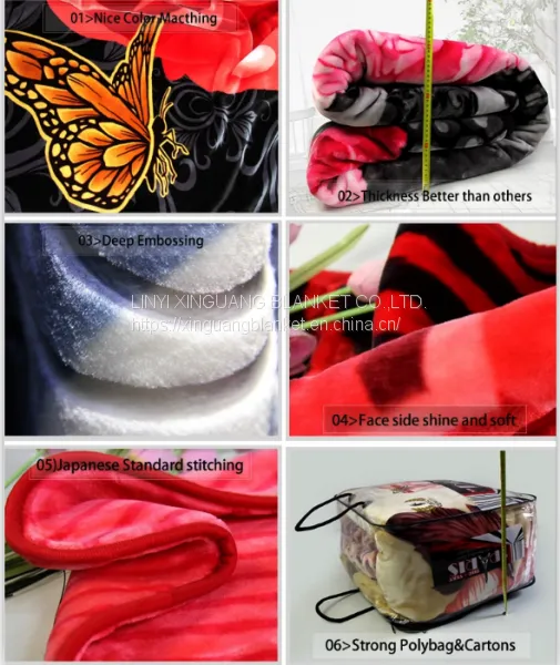 Enviromental Printing Raschel Manta 100% Polyester Mink Blanket for Sale photo-5