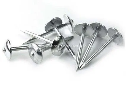 ​Umbrella Roofing Nails Stainless Steel Roofing Nails Concrete Nail Distributor Wholesale Common Nails
