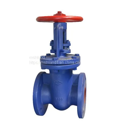 RISING STEM GATE VALVES 2022