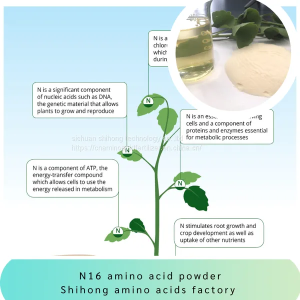 Plant Soybean Amino Acid Powder 80% Organic Fertilizer Free Sample 15-0-0