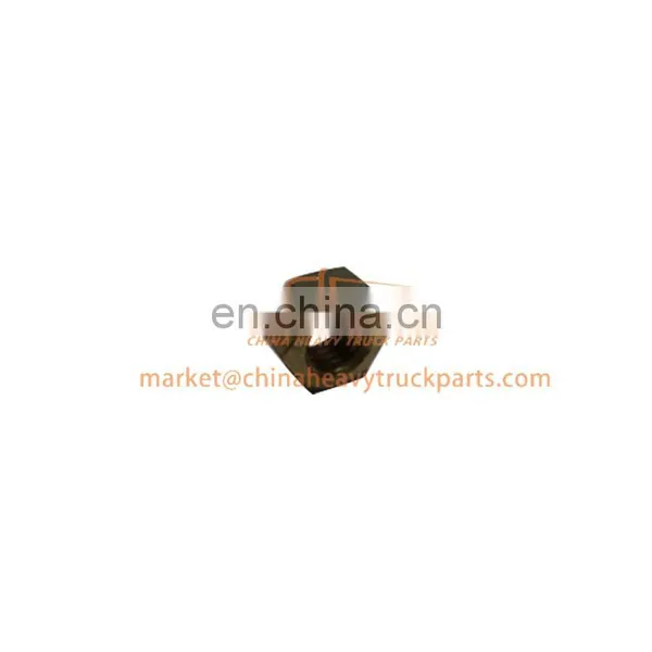 Foton Auman/Aumark/Miler/Land Pioneer Weichai Engine Gearbox Zf/Fast Truck Spare Parts Q340b06 Hexagon Nut Type 1 photo-3