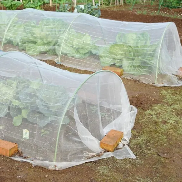 Wholesale Insect Protection Net Greenhouse for Vegetable Flower Fruit Plant Protection Mesh Cover