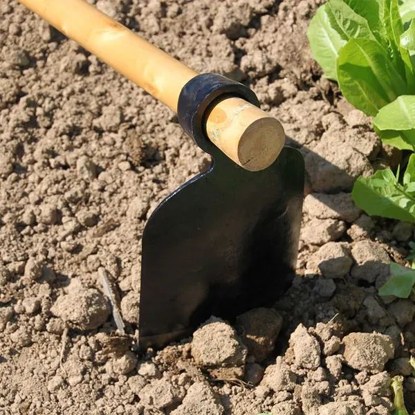 Heavy Duty Agricultural Hoe Made of Rail Steel for Farm Soil Digging and Crop Field Work photo-4