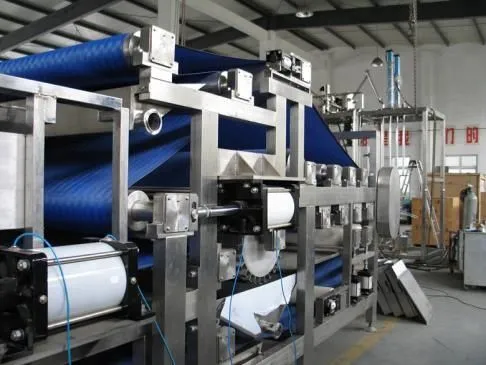 Full Automatic Fresh Fruit Juice Filling Production Line Drink Processing Line Beverage Juice Filling Machine photo-3