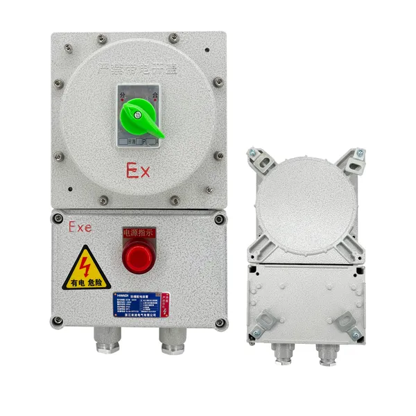 Explosion Proof Maintenance Power Box IP66 Ex db IIB T6 Industrial Flameproof Repair Power Box photo-3