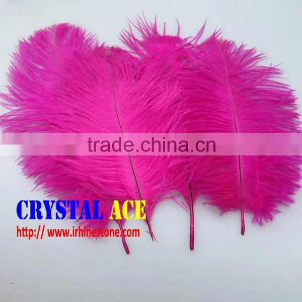 Wholesale Colourful Dyed Ostric Feather, Feather Ostric Plumes for Carnival Costumes photo-5