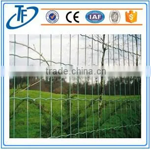 Low Carbon Steel Wire Holland Wire Mesh photo-4