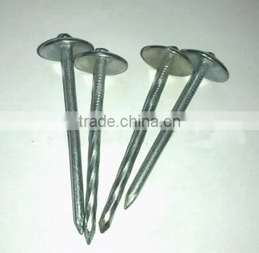 Galvanised/zinc Plated Umbrella Roofing Nails With Rubber Washer photo-6