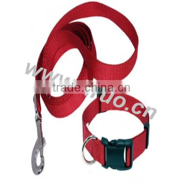 Nylon Dog Collars and Leashes
