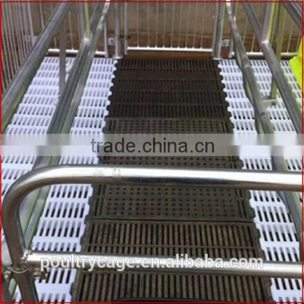 Wholesale Pig Farrowing Crates/Farrowing Crates For Pigs/Farrowing Crate For Sale photo-3
