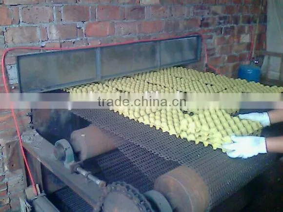 Qisheng Efficient Egg Tray Forming Machine Production Line Egg Tray Machine photo-2