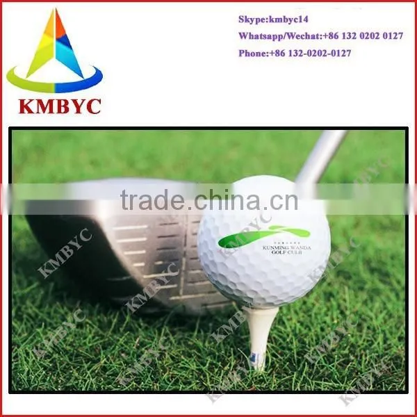 A3 Digital Printer,digital Golf Ball Printing Machine photo-3