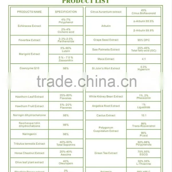 GMP Manufacture Supply High Quality Rhodiola Rosea Extract 3% 5% Rosavins for Supplement for Capsule photo-5