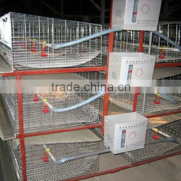 Hot Selling Automatic A Type Layer Cage -totally Automatic photo-2