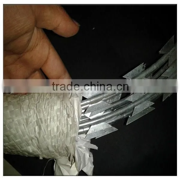 Hot Sale Galvanized Razor Barbed Concertina Steel Wire Low Price
