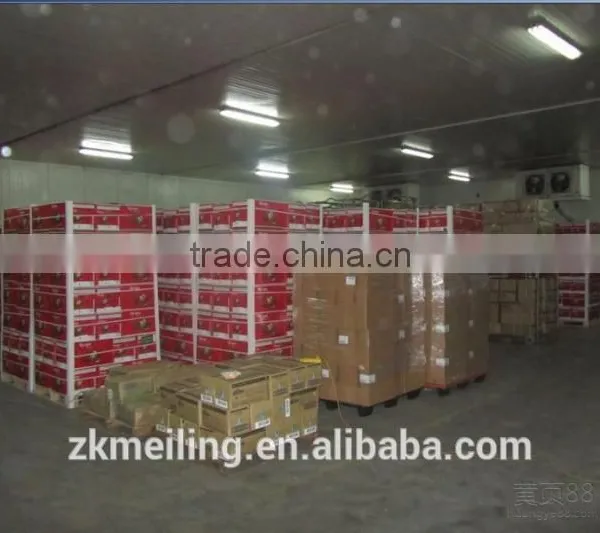 -70 to -80C Cold Storage Room photo-4