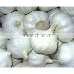 New Crop Normal White Garlic photo-2