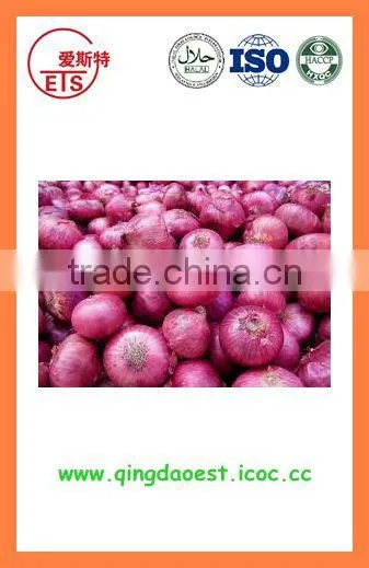 FOR SALE Bulk Fresh Red Onion photo-5