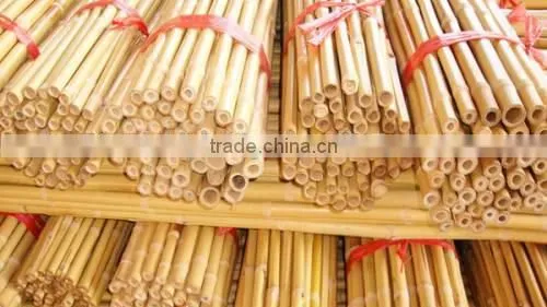 Variosu Size Bamboo Poles photo-6